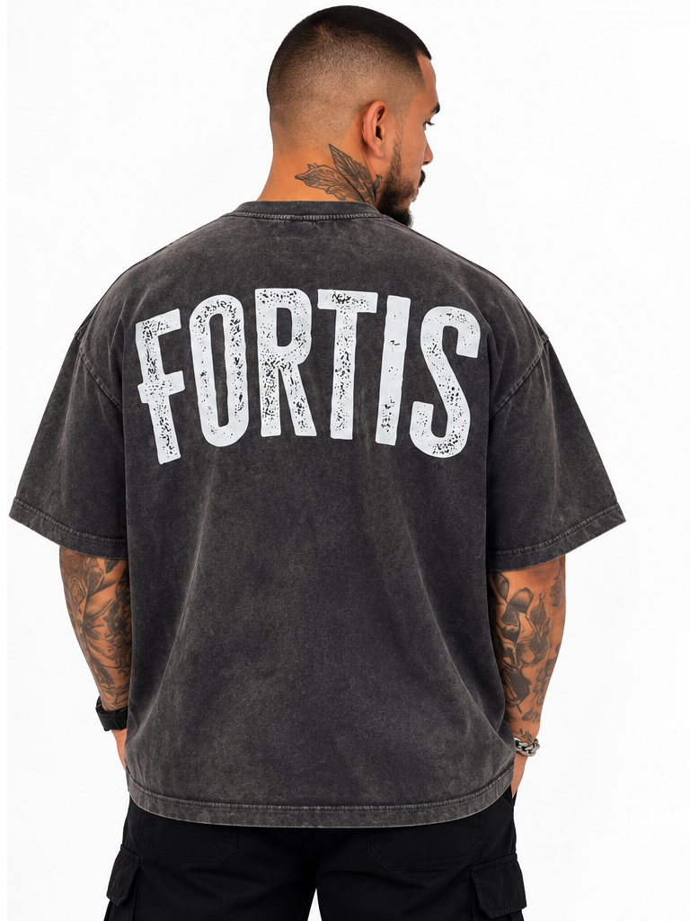 Back view of grey Fortis BOLD (Back) oversized tee with large distressed white FORTIS lettering.